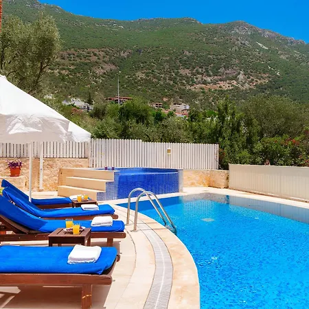 Villa Erel *