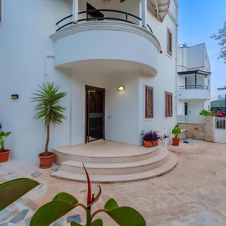 Erel * Kaş